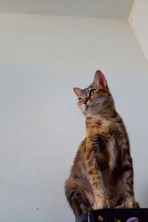 Síndrome profile photo