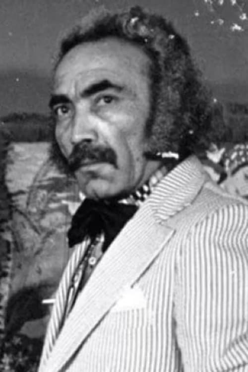 Siroos Shandermani profile photo