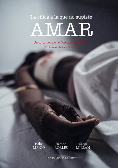 The Girl You Didn’t Know How to Love poster