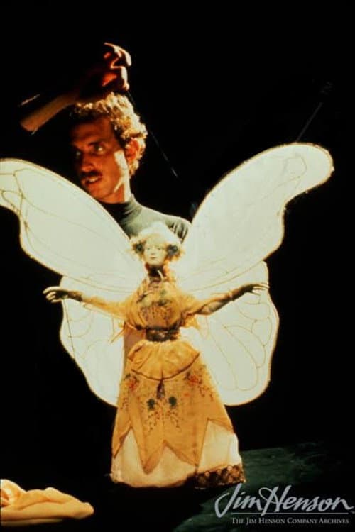 The World Of Puppetry with Bruce Schwartz poster