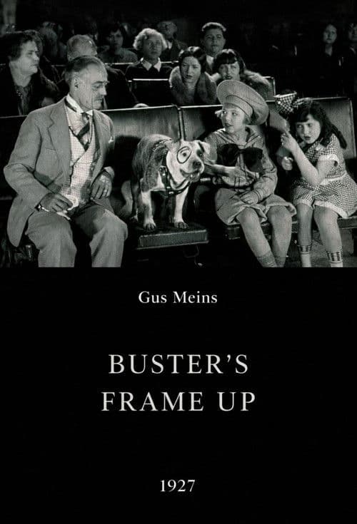 Buster's Frame Up poster