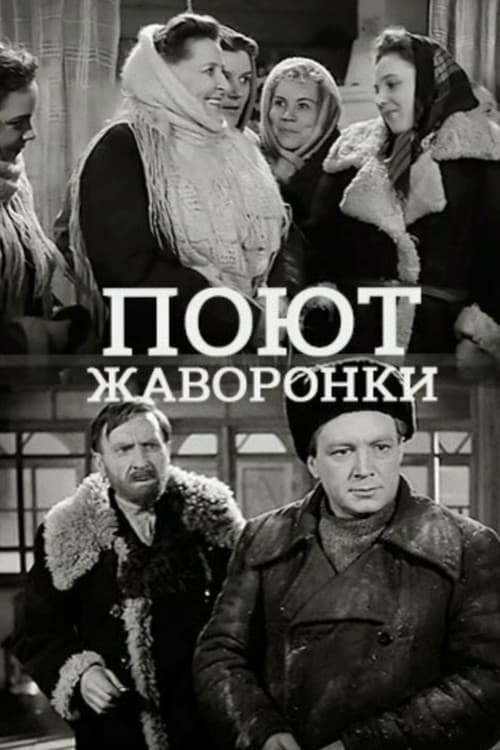 Поют жаворонки poster