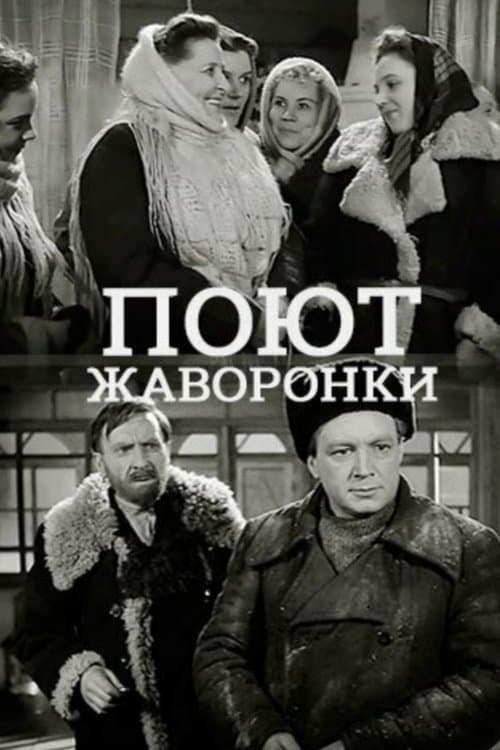Поют жаворонки poster