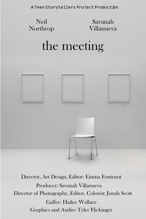 The Meeting poster