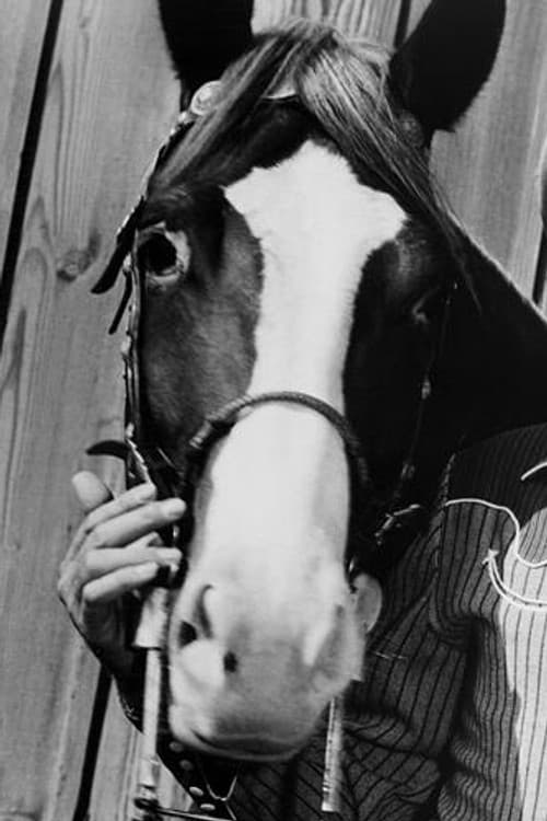 Champion profile photo