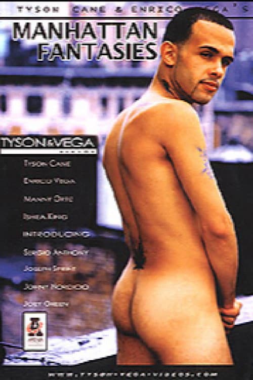 Manhattan Fantasies poster