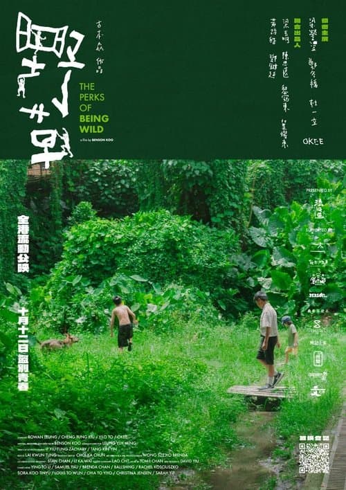 The Perks of Being Wild poster