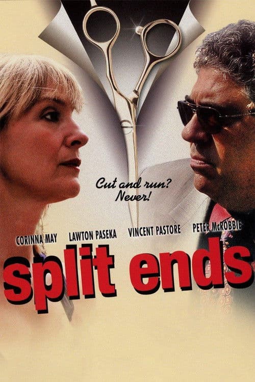 Split Ends poster