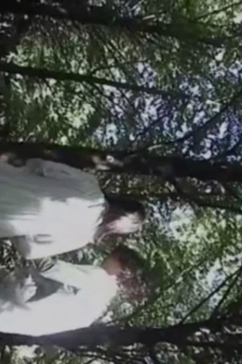 The Honeymoon Song poster