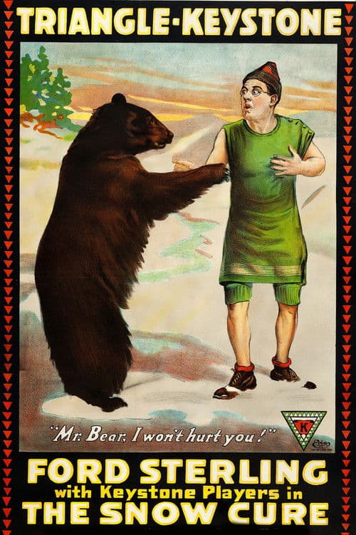 The Snow Cure poster