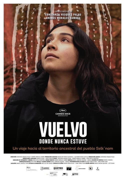 Returning Where I Have Never Been poster