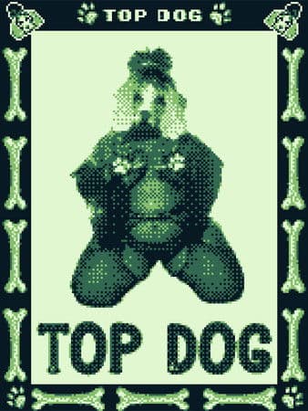 Top Dog poster