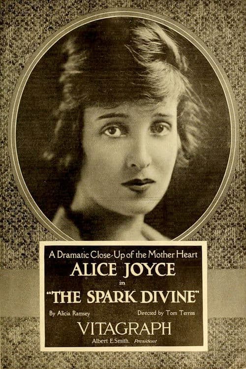 The Spark Divine poster