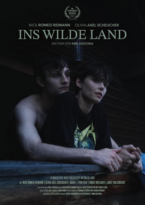 Into the Wild Land poster