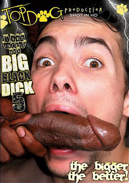 I Got Fucked by a Big Black Dick 5 poster