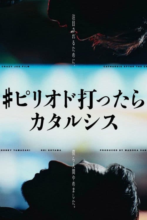 Catharsis After the End poster