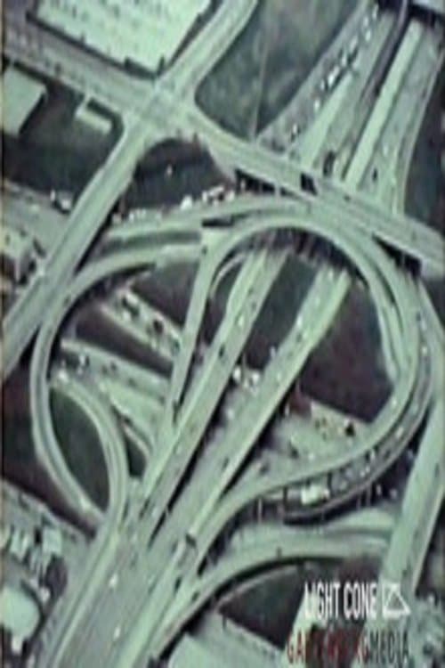 Divided Loyalties poster