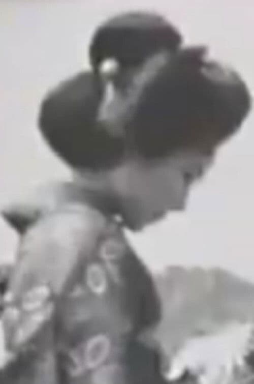 Flowers Blooming In the Storm poster