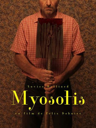 Myosotis poster