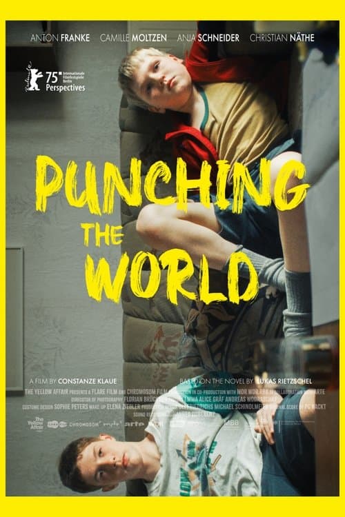Punching the World poster