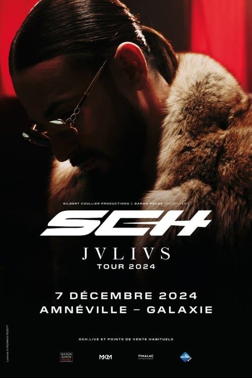 SCH - JVLIVS Tour : Ad Finem poster