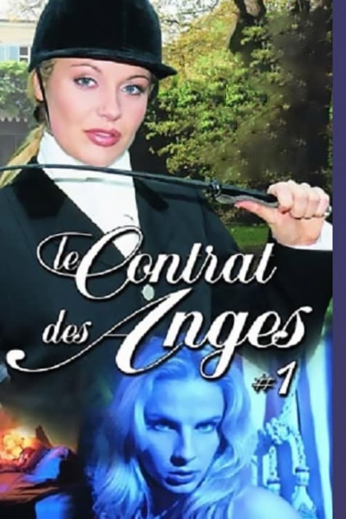Angel's Contract poster
