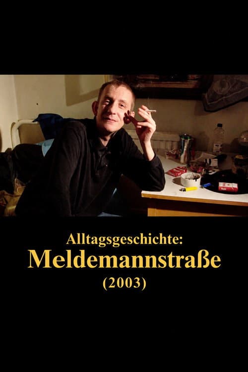 Alltagsgeschichte – Meldemannstraße 25-27 poster