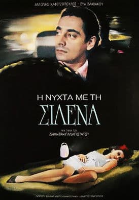 The Night with Silena poster