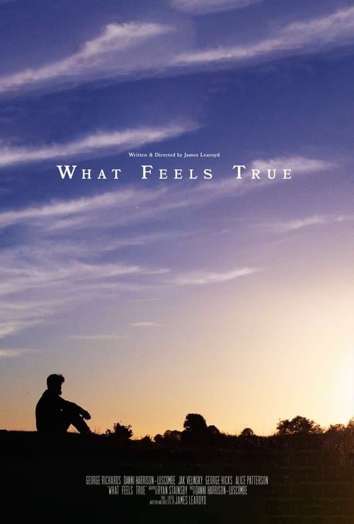What Feels True poster