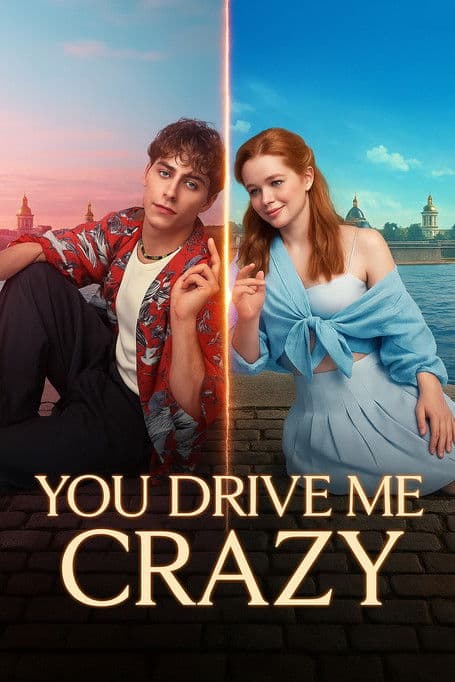 You Drive Me Crazy poster