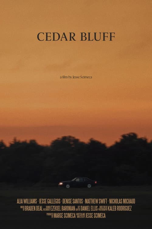 Cedar Bluff poster