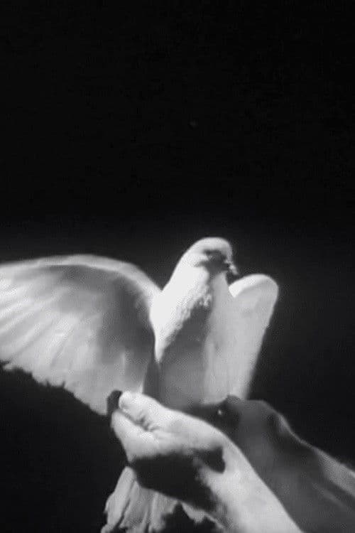 The Butterfly and the Candle Flame poster