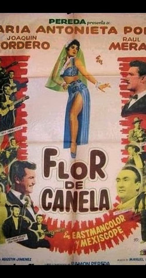 Flor de canela poster