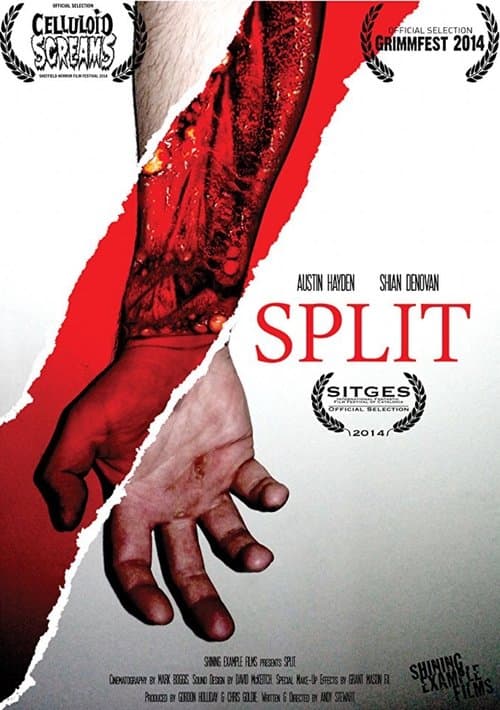 Split poster
