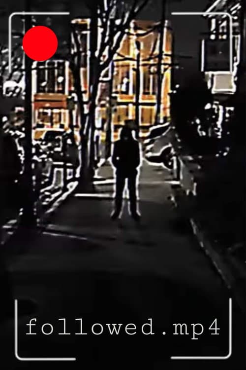 followed.mp4 poster