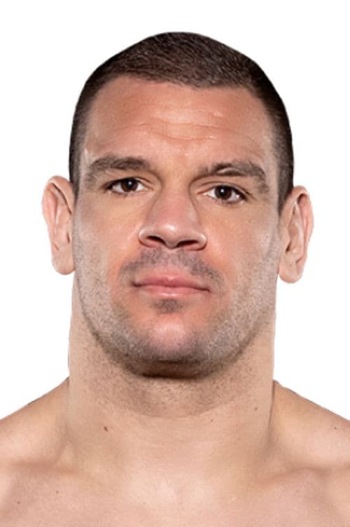 Ante Delija profile photo