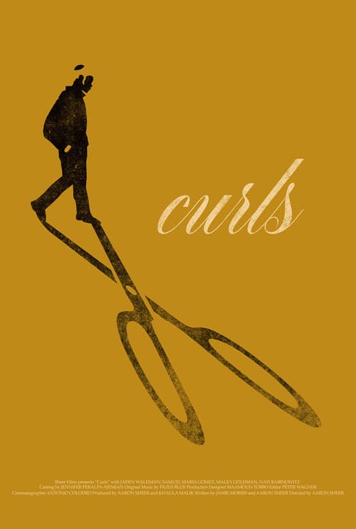 Curls poster