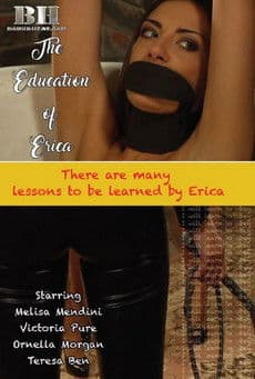 The Education Of Erica poster