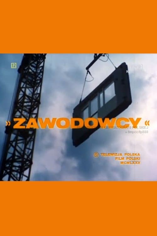 Zawodowcy poster