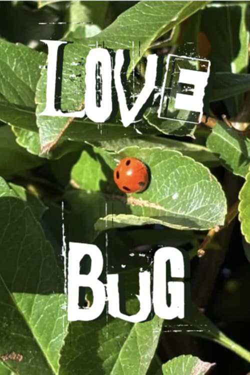 Lovebug poster