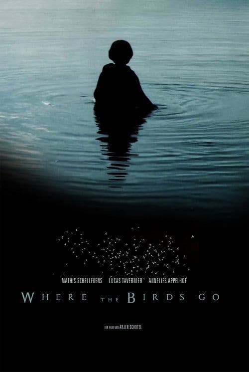 Where the birds go poster