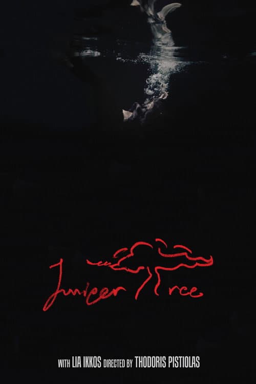 Juniper Tree poster