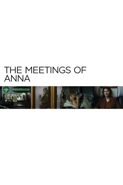 The Meetings of Anna poster