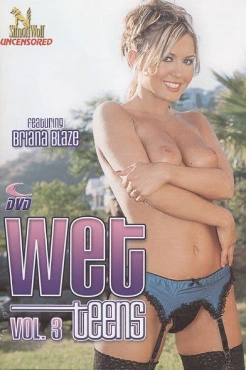 Wet Teens 3 poster