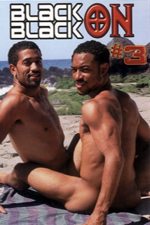 Black on Black 3 poster