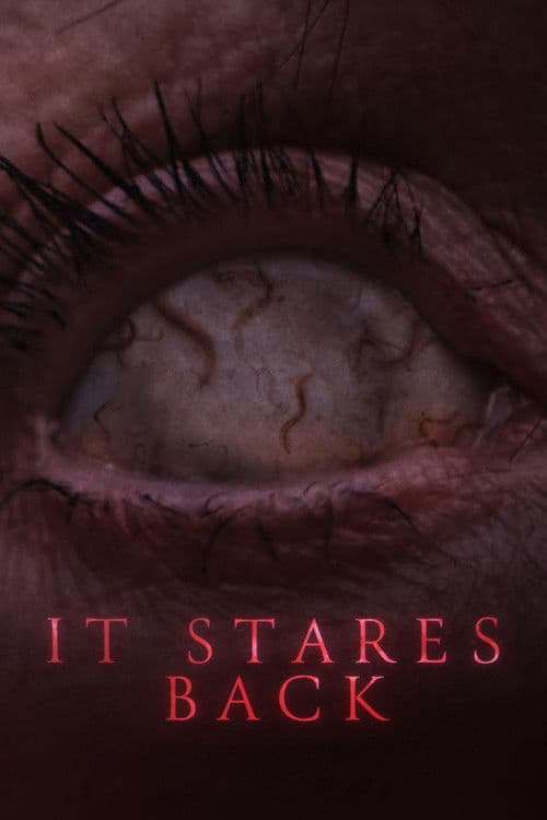 It Stares Back poster