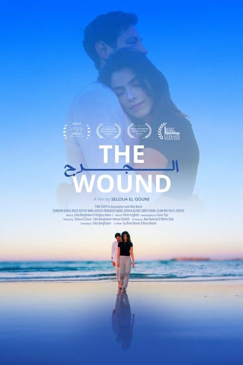 The Wound poster