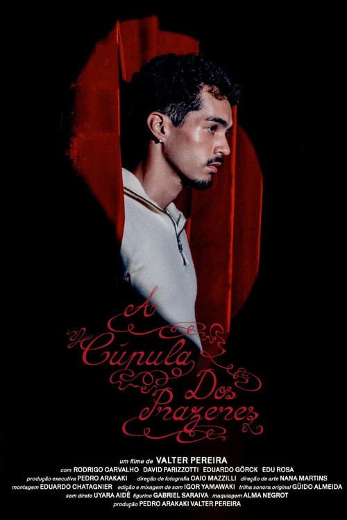 The Pleasure Dome poster