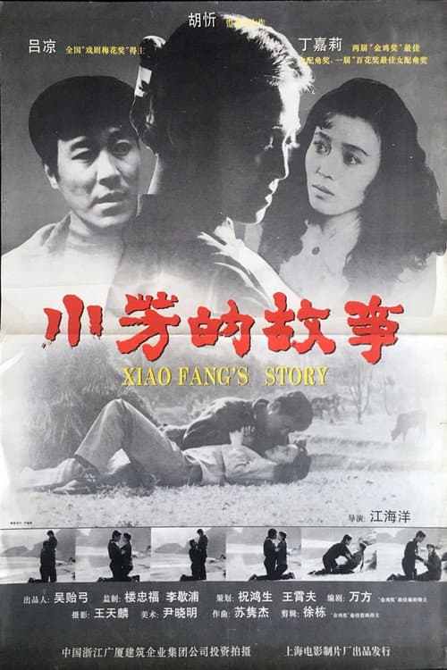 小芳的故事 poster
