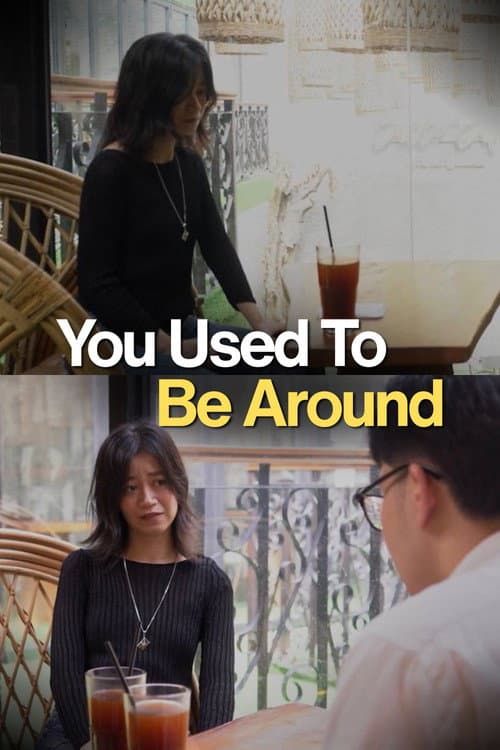 You Used To Be Around poster